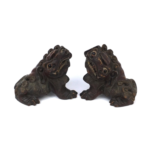 545 - Pair of Chinese carved wooden foo dogs, each with remnants of gilding and 23cm long