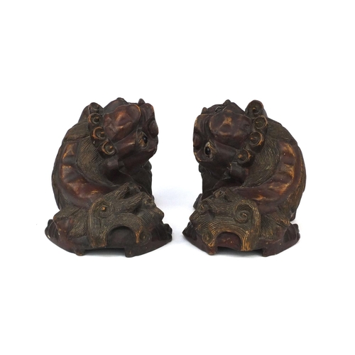 545 - Pair of Chinese carved wooden foo dogs, each with remnants of gilding and 23cm long