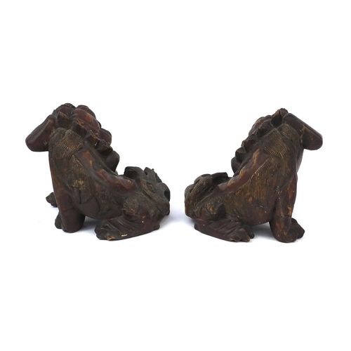 545 - Pair of Chinese carved wooden foo dogs, each with remnants of gilding and 23cm long