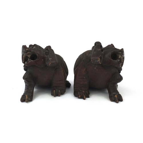 545 - Pair of Chinese carved wooden foo dogs, each with remnants of gilding and 23cm long