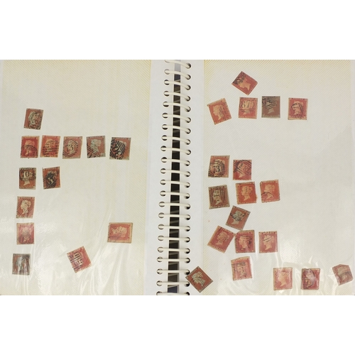 215 - Extensive collection of Victorian penny red and penny black stamps, including two albums, some loose... 