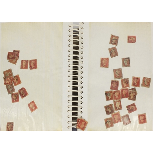 215 - Extensive collection of Victorian penny red and penny black stamps, including two albums, some loose... 