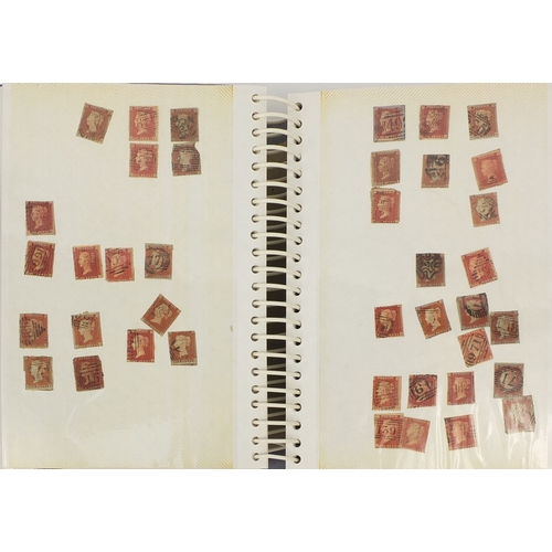 215 - Extensive collection of Victorian penny red and penny black stamps, including two albums, some loose... 