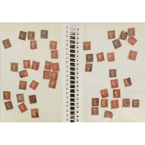 215 - Extensive collection of Victorian penny red and penny black stamps, including two albums, some loose... 