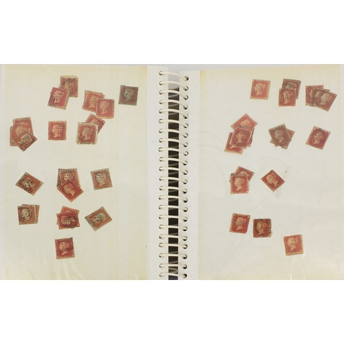 215 - Extensive collection of Victorian penny red and penny black stamps, including two albums, some loose... 