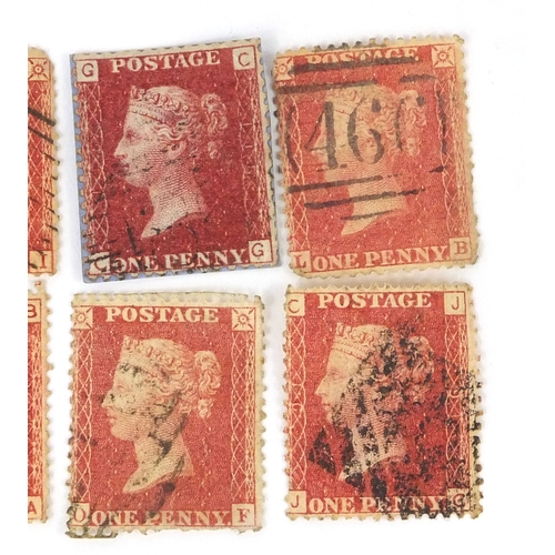 215 - Extensive collection of Victorian penny red and penny black stamps, including two albums, some loose... 