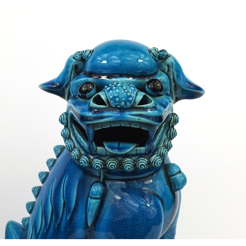 487 - Large pair of Chinese turquoise glazed Foo Dogs, raised on square bases, each 42cm high