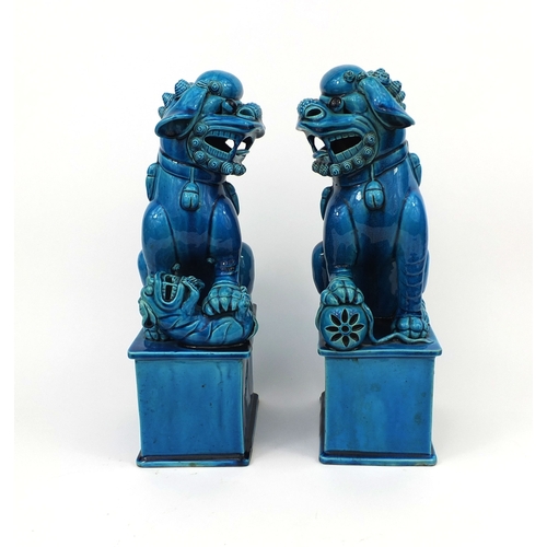 487 - Large pair of Chinese turquoise glazed Foo Dogs, raised on square bases, each 42cm high