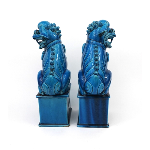 487 - Large pair of Chinese turquoise glazed Foo Dogs, raised on square bases, each 42cm high