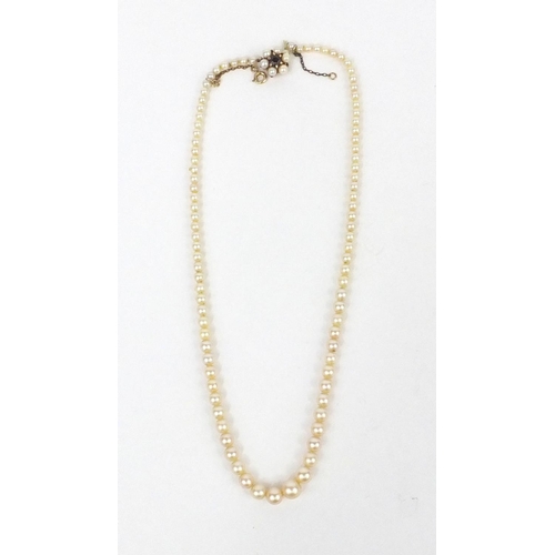 2604 - Single string cultured pearl necklace with 9ct gold clasp set with a garnet, 40cm long, approximate ... 