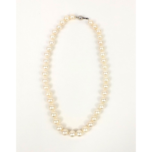 2589 - Cultured pearl single string necklace with silver clasp, 44cm long, approximate weight 55.6g