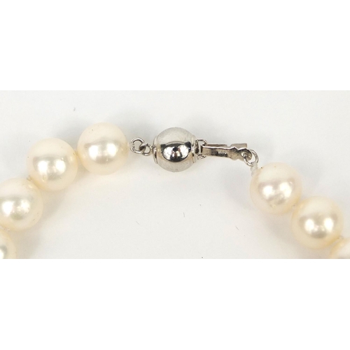 2589 - Cultured pearl single string necklace with silver clasp, 44cm long, approximate weight 55.6g