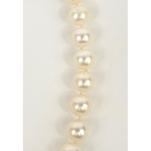 2589 - Cultured pearl single string necklace with silver clasp, 44cm long, approximate weight 55.6g