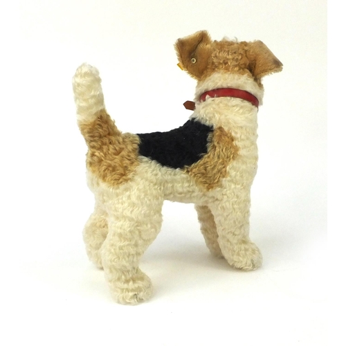 2340 - Large Steiff Foxy terrier dog with tag and pin to the ear, 38cm high