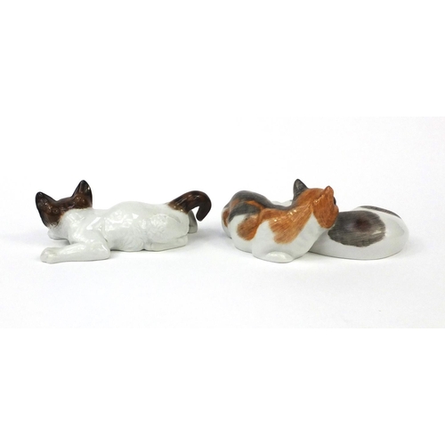 2182 - Dresden hand painted porcelain model of two cats, together with a Rosenthal example, each with facto... 