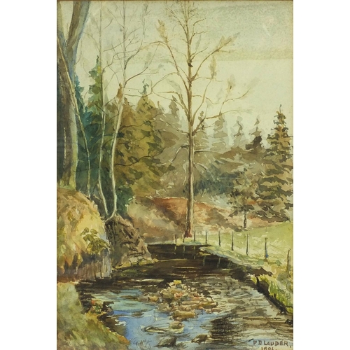 390 - P D Lauder 1881 - Watercolour, stream through woodland, label to the reverse, near Auchlerhouse, 25c... 