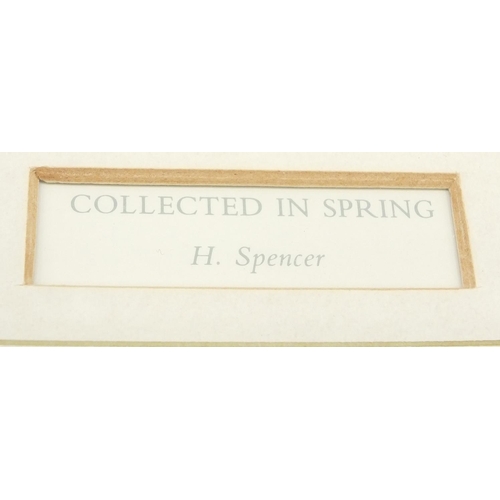 63 - Pair of Harry Spencer pencil signed limited edition botanical prints, each numbered 326/750, Stacey ... 