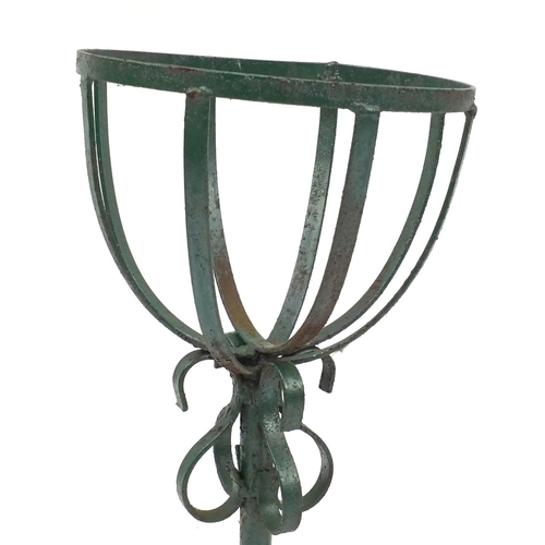 76 - Pair of wrought iron green painted planters, 62cm high