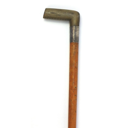 352 - Malacca walking cane with horn handle and silver coloured metal collar, 82cm long