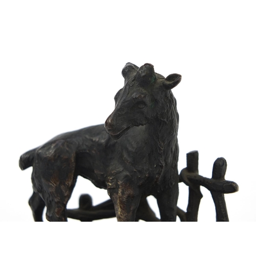 2098 - Bronze study of a goat raised on a red marble base, 10.5cm high