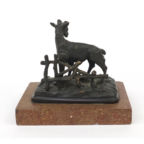 2098 - Bronze study of a goat raised on a red marble base, 10.5cm high