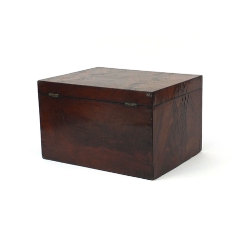 2140 - Victorian flame mahogany box with hinged lid, 20.5cm high x 33cm wide x 25.5cm deep