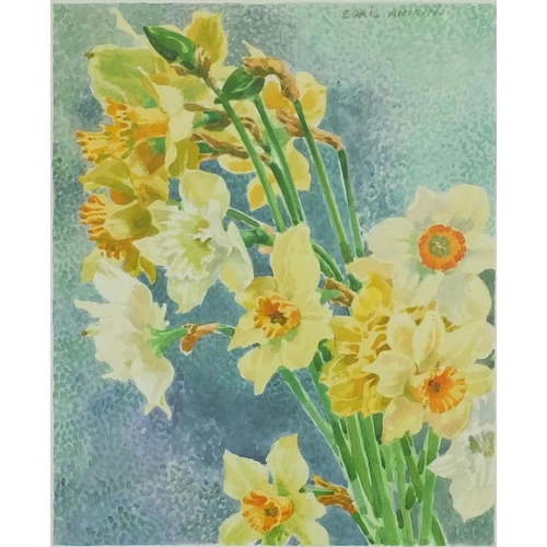 503 - Boris Fanikini pencil signed picture of daffodils, 36cm x 27cm excluding the frame