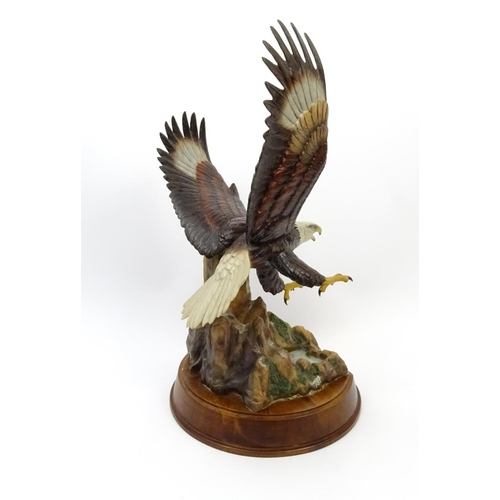 201 - Large painted metal study of a swooping eagle, 44cm high