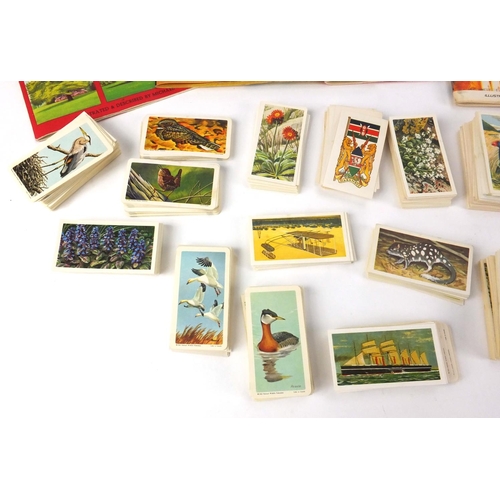 755 - Collection of cigarette cards arranged in albums and Whitbread examples