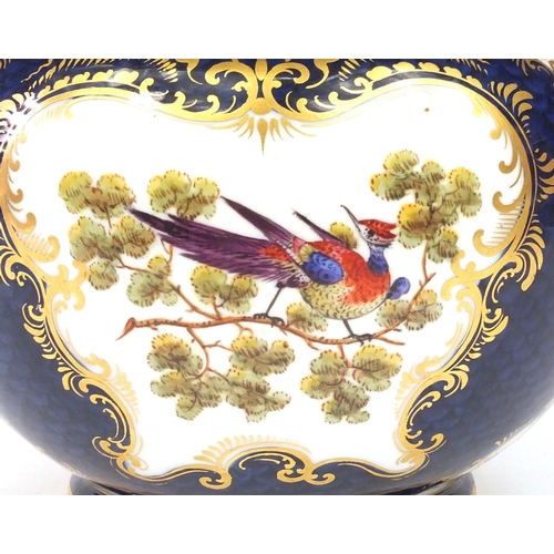 683 - Worcester Royal china works miniature jardinière, hand painted with panels of birds and insects, wit... 