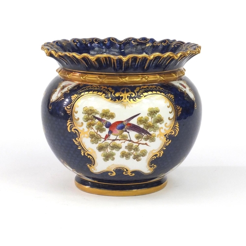 683 - Worcester Royal china works miniature jardinière, hand painted with panels of birds and insects, wit... 