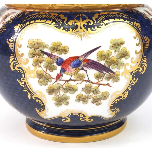 683 - Worcester Royal china works miniature jardinière, hand painted with panels of birds and insects, wit... 