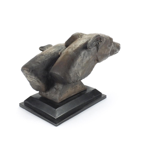 2200 - Large bronzed study of two greyhound heads, raised on a rectangular faux slate base, 29cm high x 45c... 