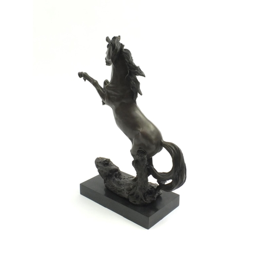 2149 - Large bronze study of a rearing horse by The Talos Gallery, indistinctly signed, raised on a rectang... 