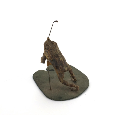 113 - Taxidermy interest toad in the form of a golfer, 20cm high