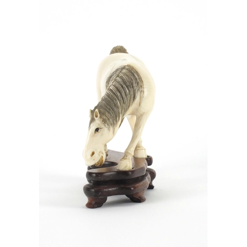 549 - Chinese carved ivory study of a horse raised on a hardwood base, overall 10cm high