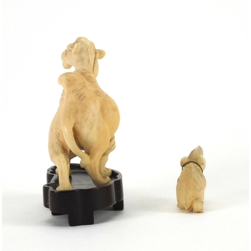 548 - Two Chinese ivory carvings comprising a camel on a hardwood base and a rat, the camel overall 7cm hi... 