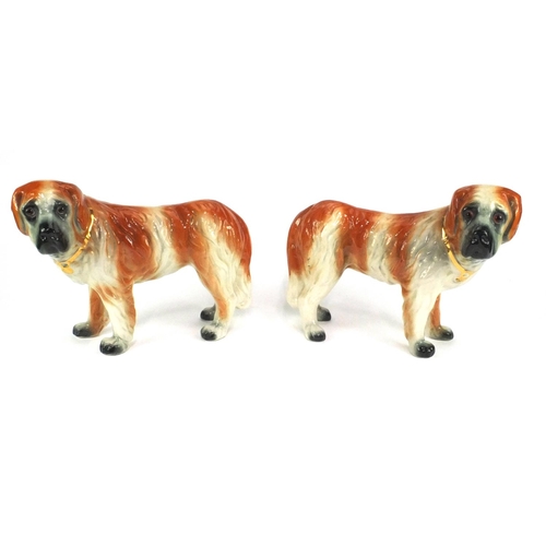 694 - Large pair of Staffordshire St Bernard dogs, each 25cm high