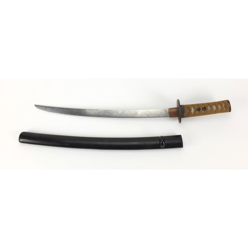 601 - Antique Japanese Wakizashi with lacquered scabbard and shagreen grip, 58.5cm in length