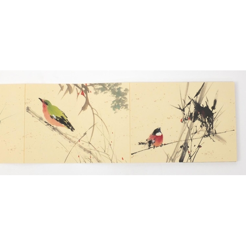 579 - Chinese ink and watercolour album, attributed to Shaoang Zhao, birds and flowers, red seal marks and... 