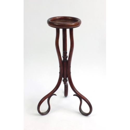 2082 - Vintage Fischel Bentwood stand, 77cm high