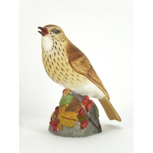 2350 - Two Royal Worcester birds including Thrush 3234, both with factory marks to the base, the largest 16... 