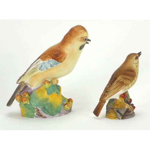 2350 - Two Royal Worcester birds including Thrush 3234, both with factory marks to the base, the largest 16... 