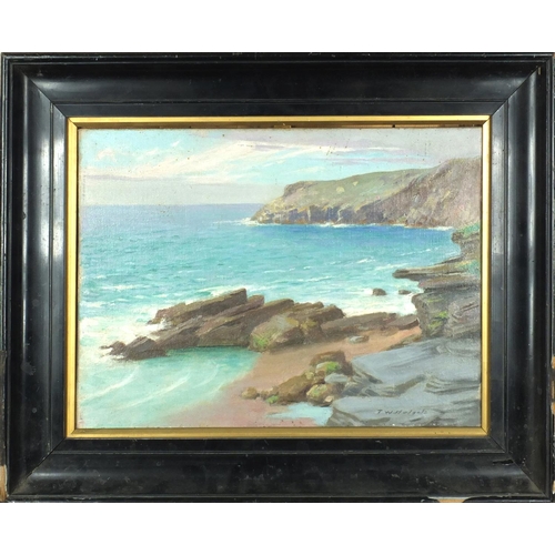 2323 - Thomas W Holgat - Oil onto board, coastal scene, inscribed label verso, mounted and framed, 34cm x 2... 