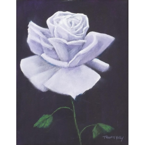 1251 - Francis Kelly - Pastel onto board, blue rose, title verso, mounted and framed, 35cm x 26.5cm excludi... 