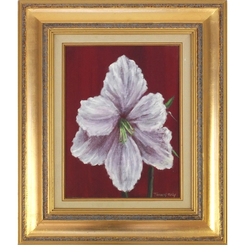 1250 - Francis Kelly - Oil onto board, big blossom, title verso, mounted and gilt framed, 29.5cm x 21.5cm e... 