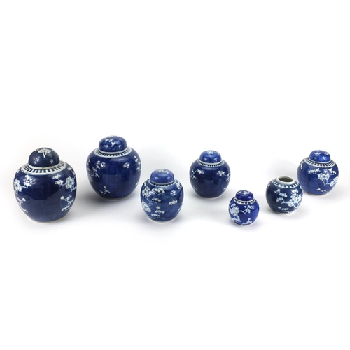 506 - Seven Chinese blue and white porcelain ginger jars and covers, each hand painted with Prunus flowers... 