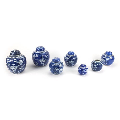 506 - Seven Chinese blue and white porcelain ginger jars and covers, each hand painted with Prunus flowers... 