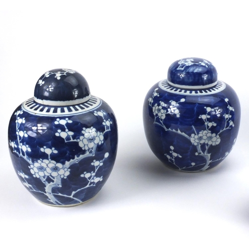 506 - Seven Chinese blue and white porcelain ginger jars and covers, each hand painted with Prunus flowers... 