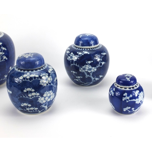 506 - Seven Chinese blue and white porcelain ginger jars and covers, each hand painted with Prunus flowers... 